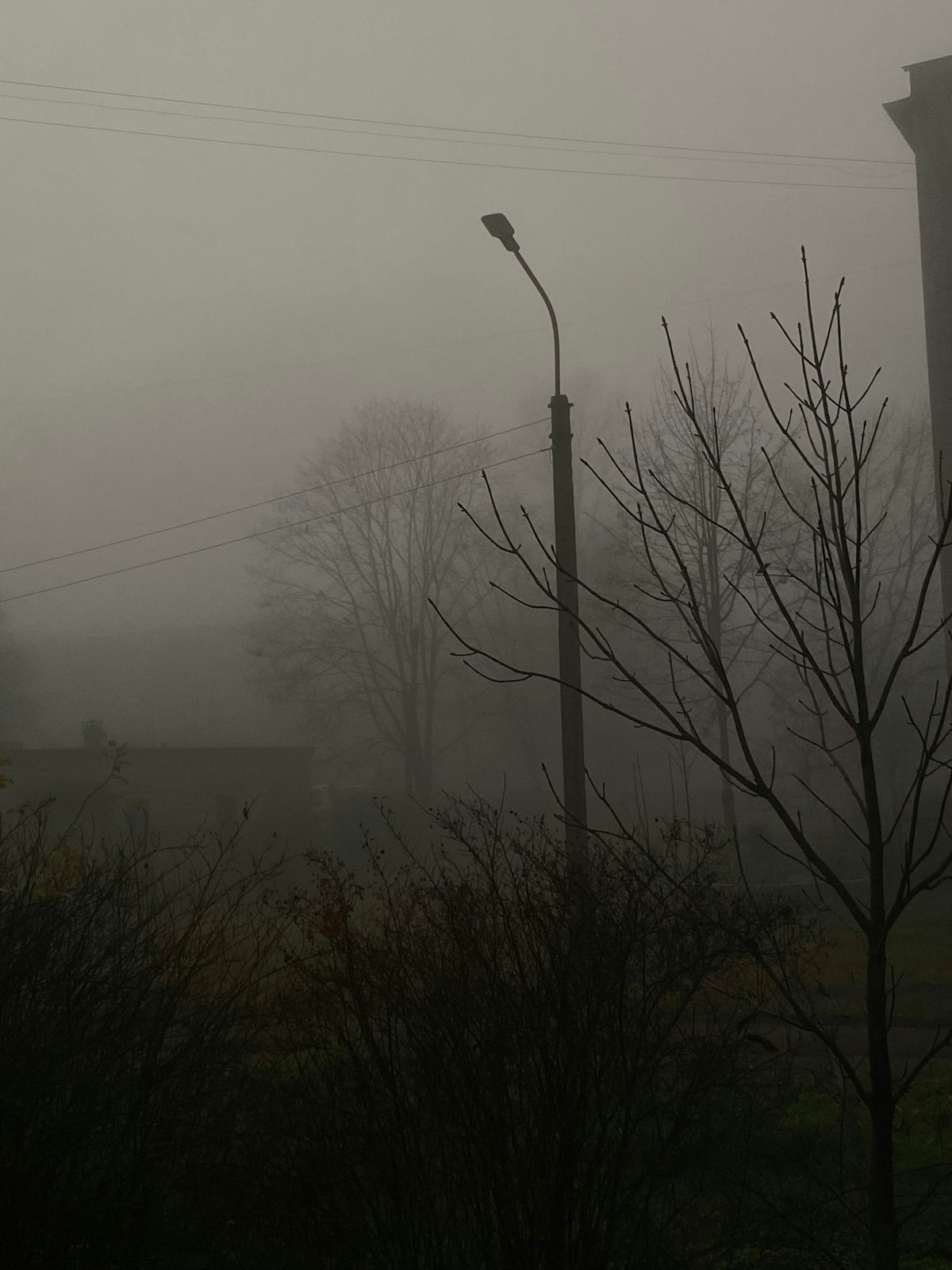 a street light in the middle of a foggy day