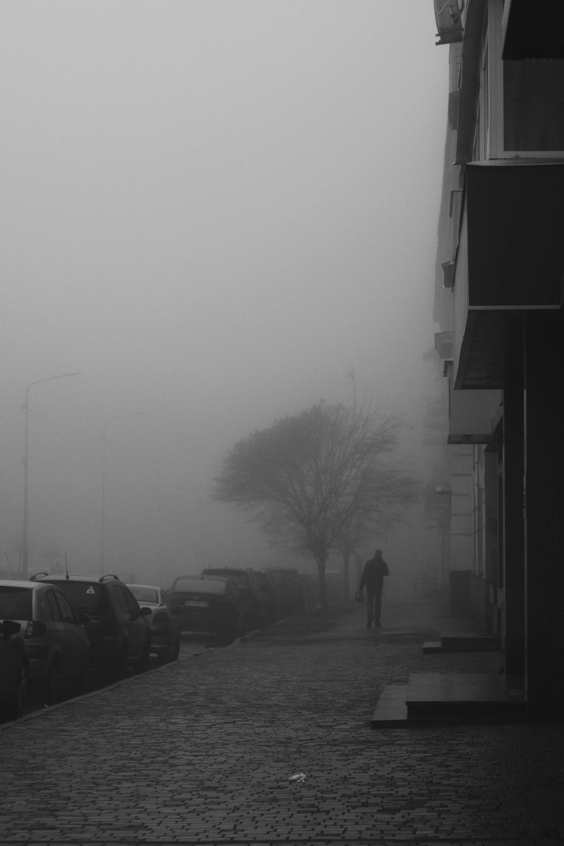 a black and white photo of a person walking on a foggy street