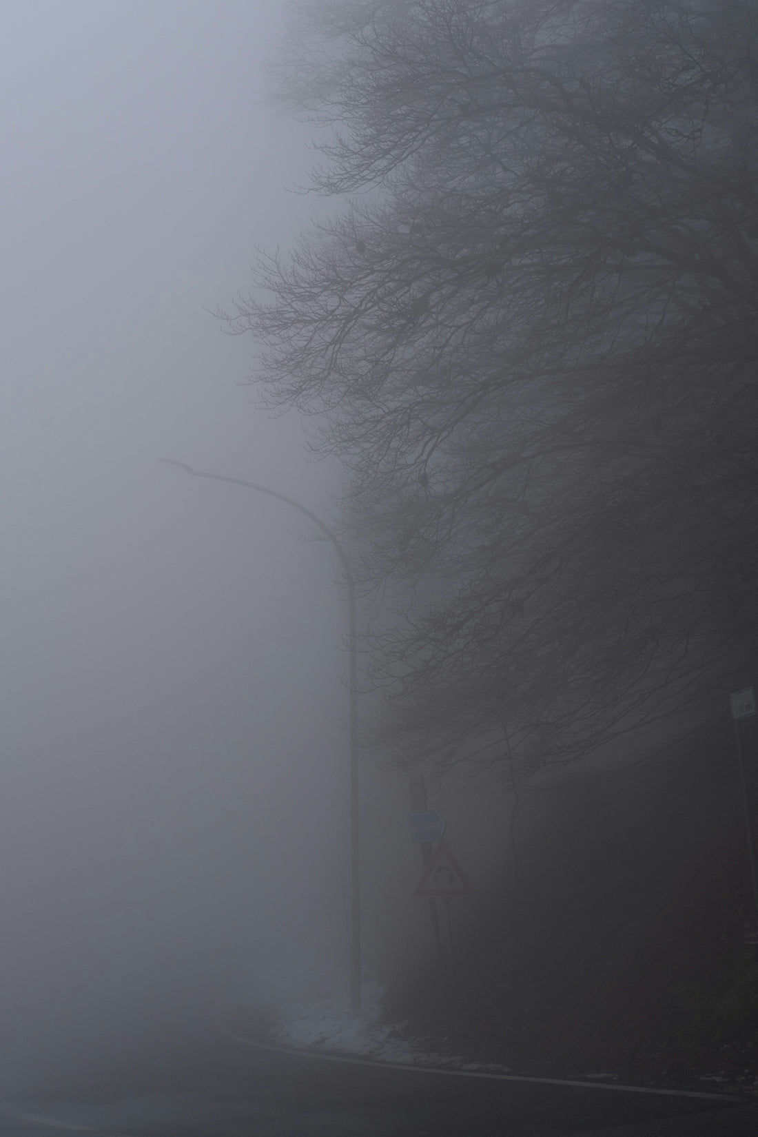 A foggy street with a stop sign in the foreground