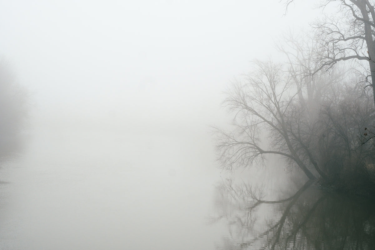 a body of water surrounded by trees and fog