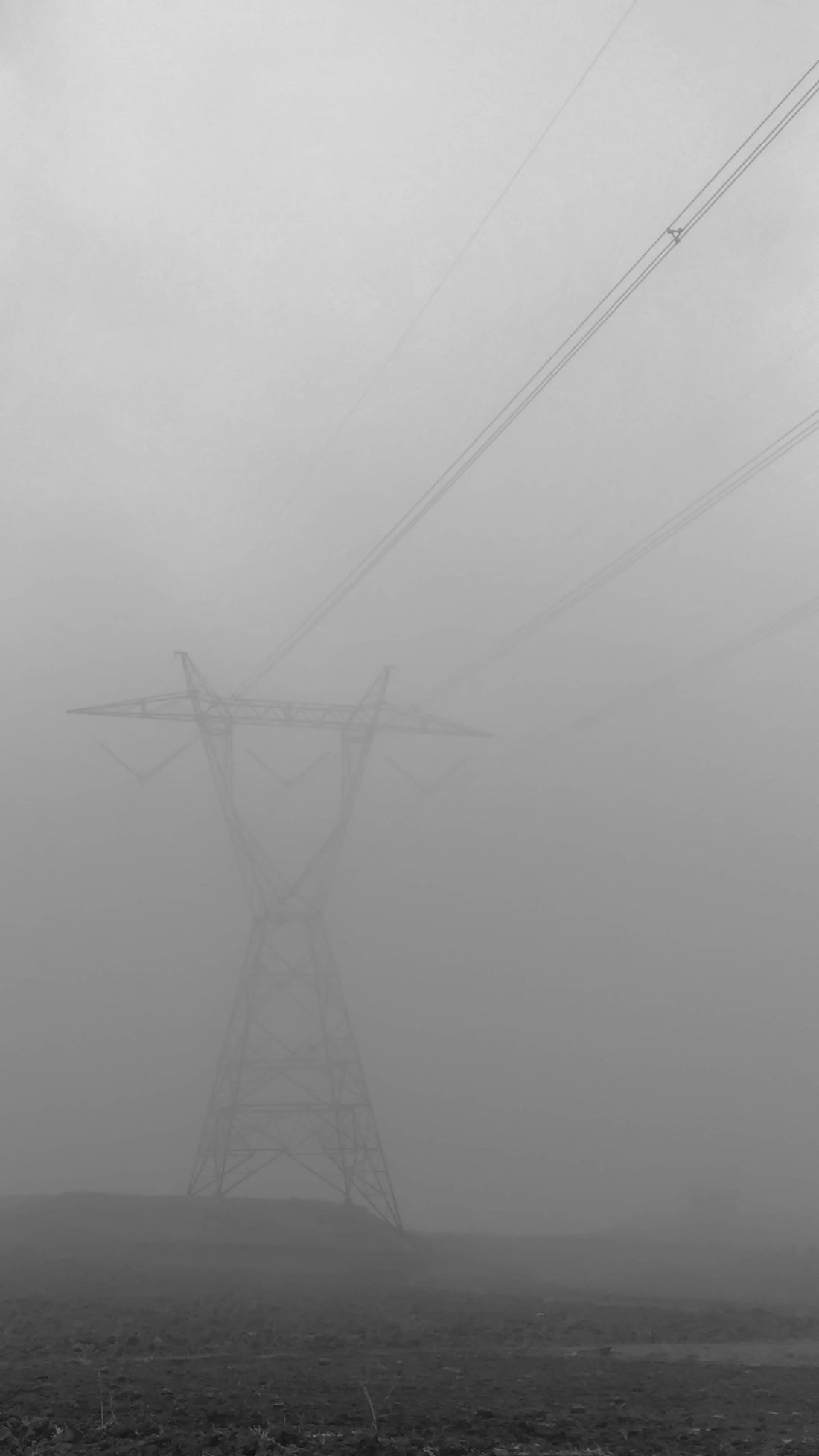 a black and white photo of power lines in the fog