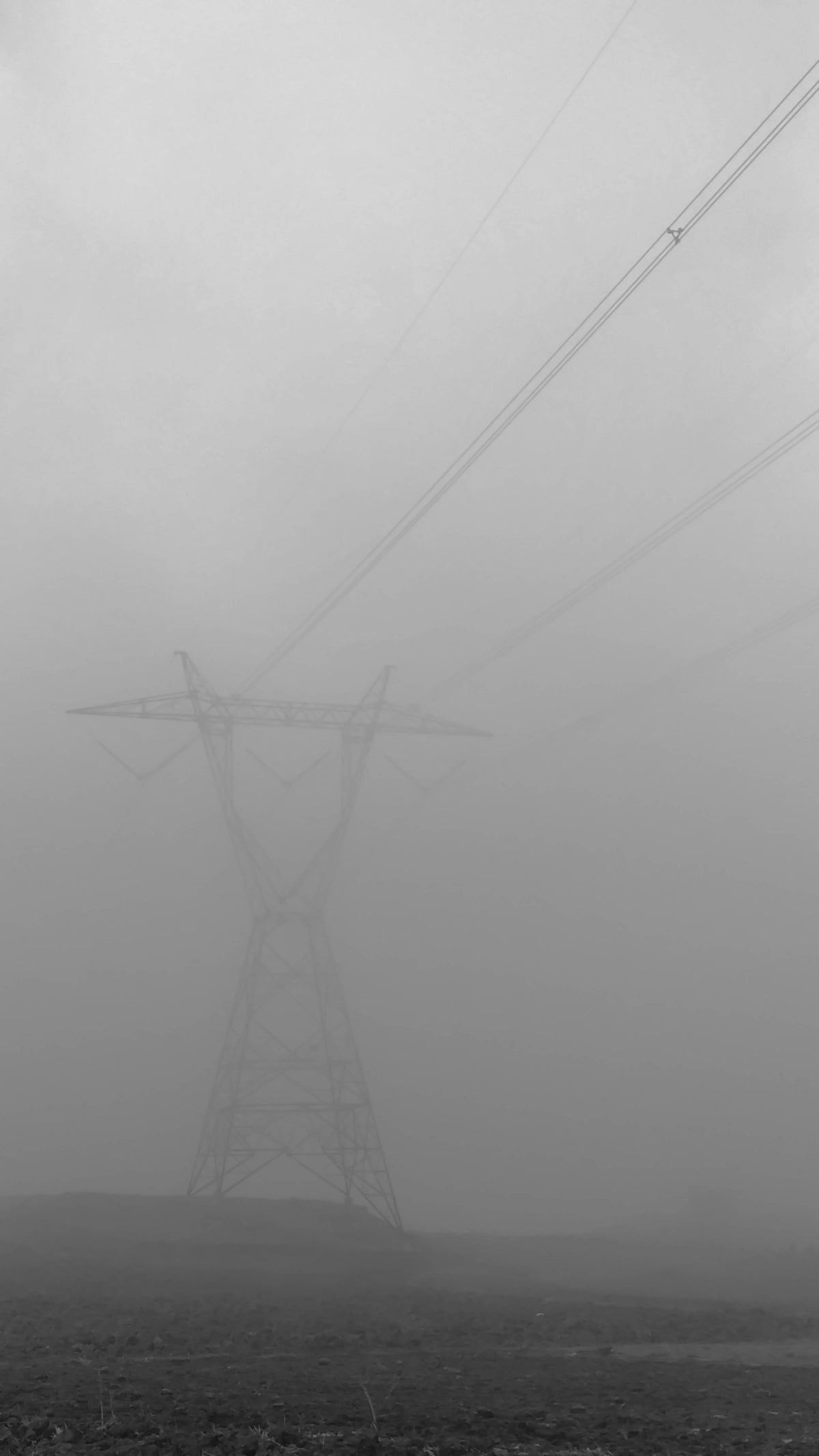 a black and white photo of power lines in the fog