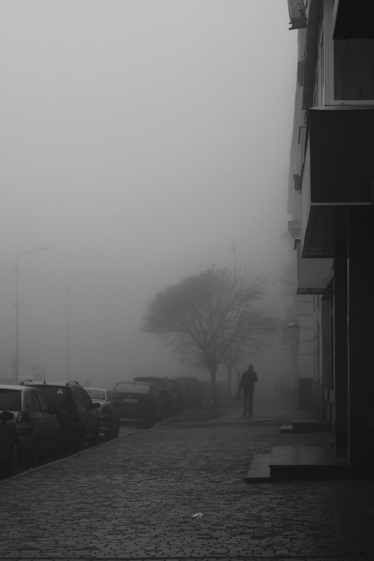 a black and white photo of a person walking on a foggy street