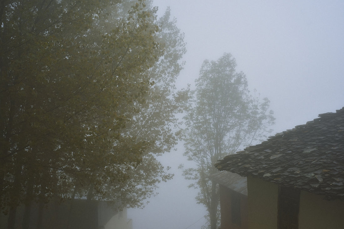 A foggy street with a house and trees in the background