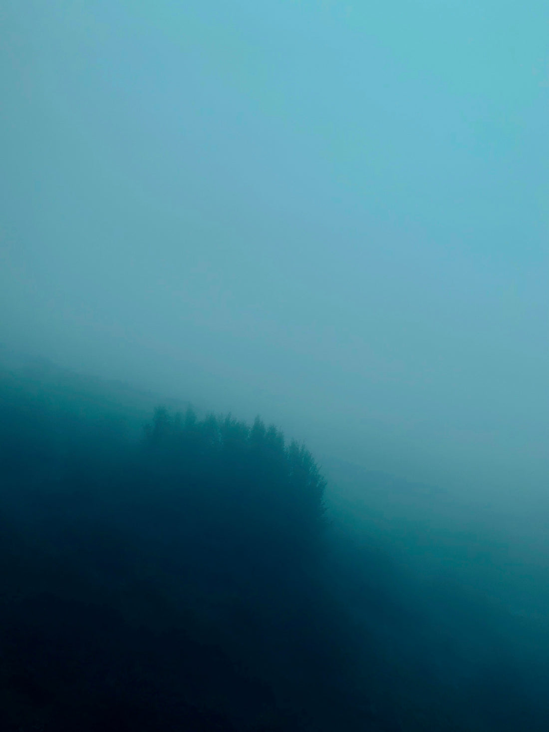 A blurry photo of trees in the fog