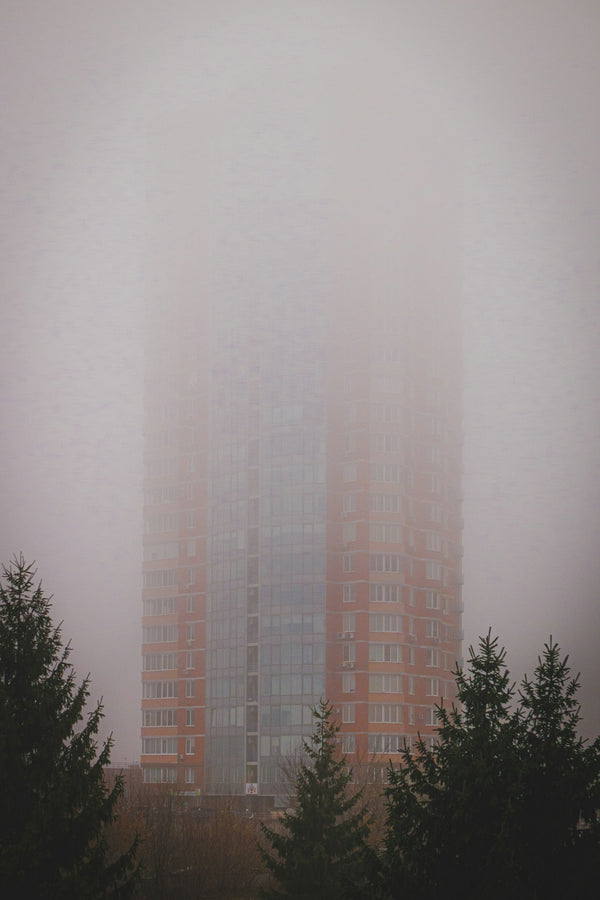 Skyscraper emerges from thick fog surrounded by trees